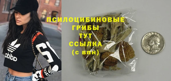 не бодяженный Богородицк