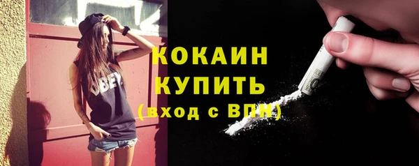 винт Верея