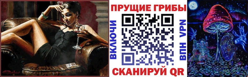 Купить  Лысьва  Галлюциногенные грибы Psilocybe 